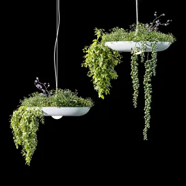 Chandelier Plant Pot